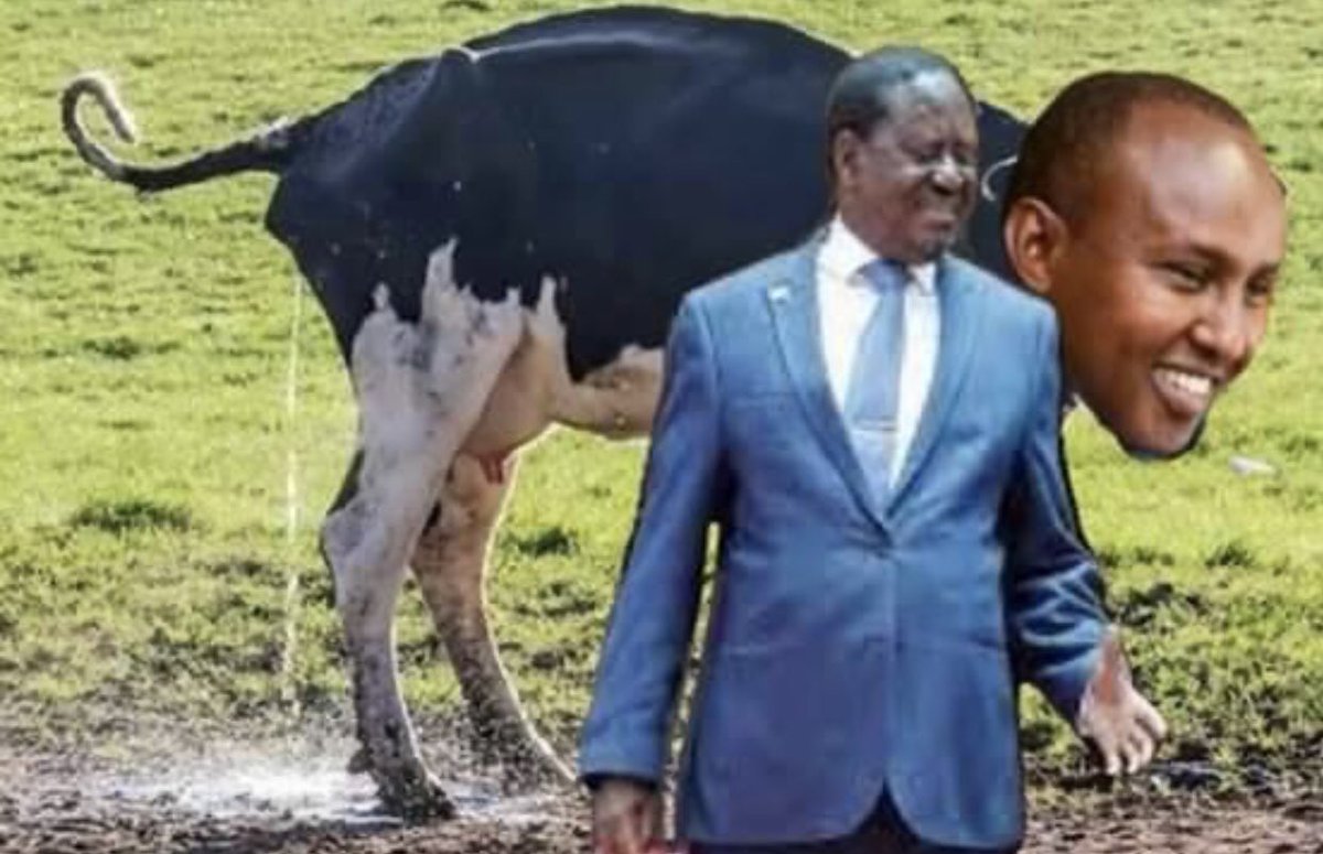 denjaflani's tweet photo. Ngombe ya baba. Junet Mohammed even his name sounds familiar with a female name. So useless ineed. We need to oversee wat This man had done to his constituency.
#anitanderu
#KissKamene
#Wakstikitaka
#TekelezaKATIBA
#KMRI
#Kenyan
#moseskuria https://t.co/XeAQdVH9sZ