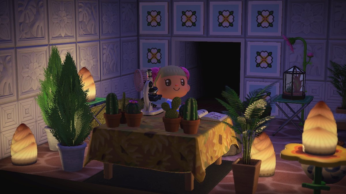 SailorMoonshin3's tweet photo. #AnimalCrossing #ACNH #NintendoSwitch https://t.co/bf6NlSIEpd