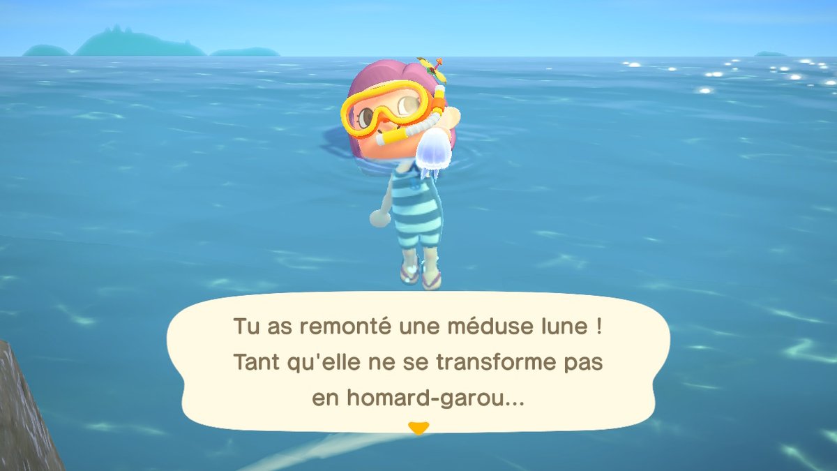 aveam_ACNH's tweet photo. Premières trouvailles ! On apprécie les jeux de mots toujours aussi qualitatifs ! haha #AnimalCrossing #ACNH https://t.co/dd5G55stU2