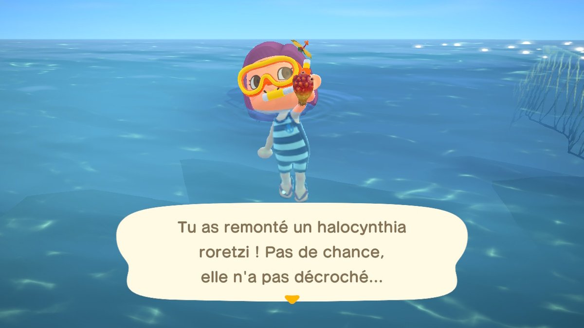 aveam_ACNH's tweet photo. Premières trouvailles ! On apprécie les jeux de mots toujours aussi qualitatifs ! haha #AnimalCrossing #ACNH https://t.co/dd5G55stU2