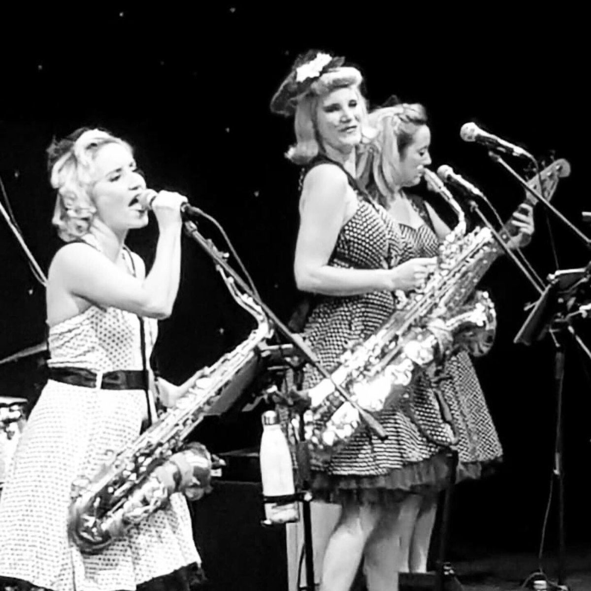 The Daisy Chains tweet media