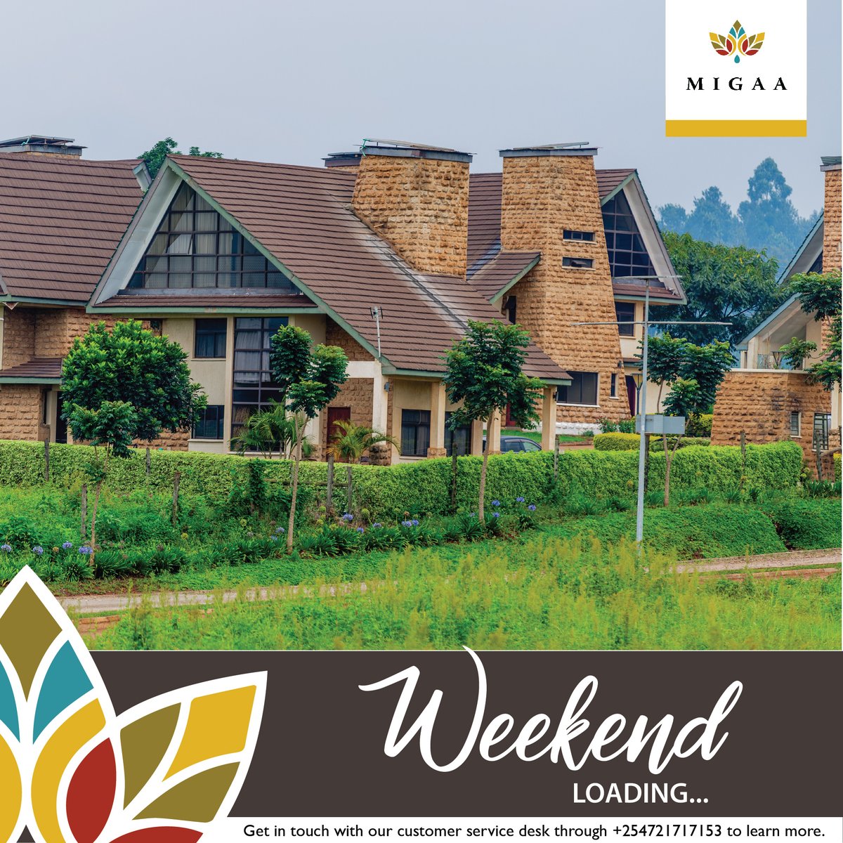 MigaaGolfEstate's tweet photo. It is a comfortable feeling to know that you stand on your own ground. Land is the only thing that can’t fly away. 
Get in touch with our customer service desk through +254721717153 to learn more.
#BuildinMigaa #ecofriendlyneighborhood #greenestate #golfestate https://t.co/fl700B1cEc