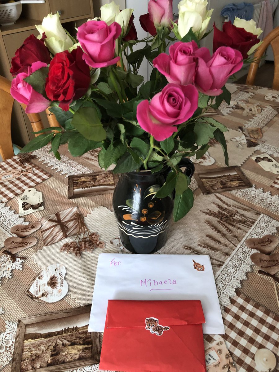 Silver birch trees 🌲