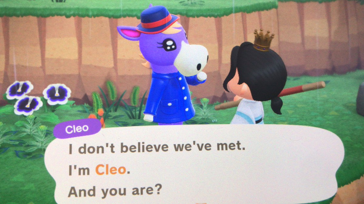 MangoAcnh's tweet photo. Nintendo stop giving me cute horse villagers I don’t need any more 😭 https://t.co/cdHUK1VvG5