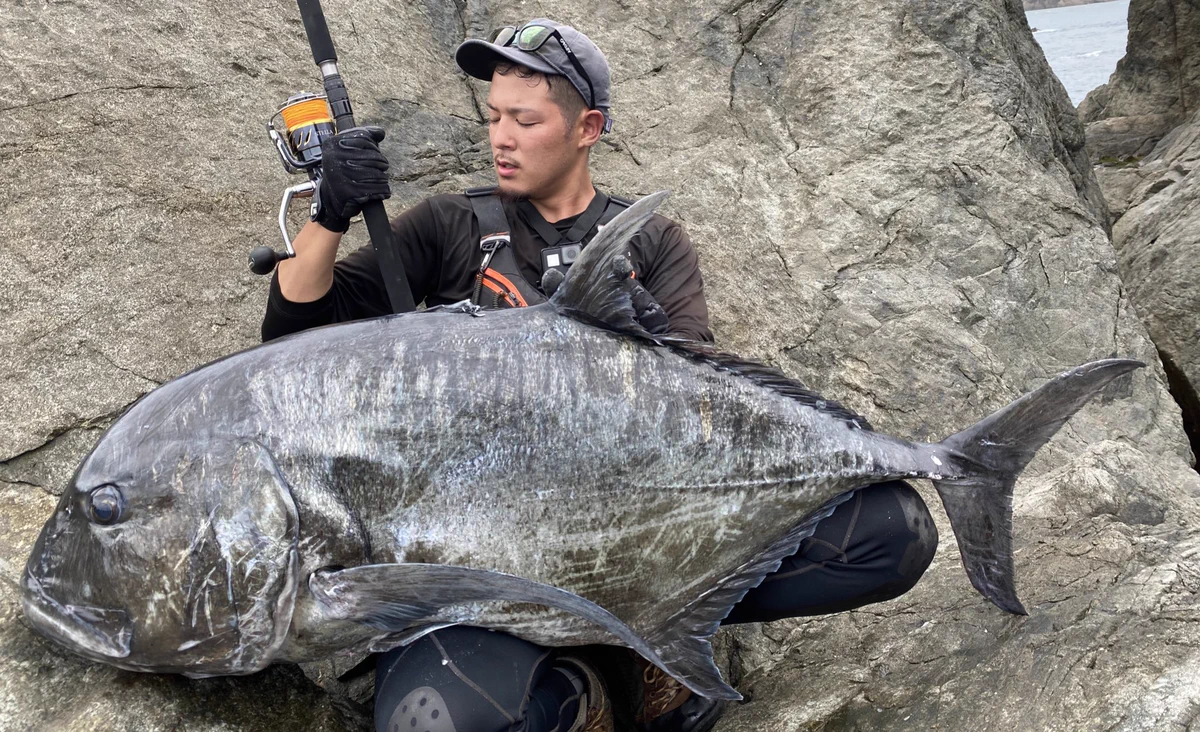 ロックショアにこだわりかなりの巨大魚GT(アジ)をget！その重さなんと37キロ！！とにかくでかい！