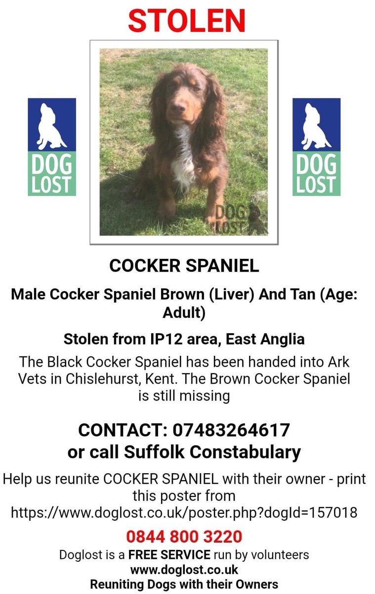SpryAbby's tweet photo. ❗️STOLEN ❗️25/26th MAY, Nr WOODBRIDGE SUFFOLK. 
ITS BEEN A LONG 5 AND A HALF WEEKS SINCE YOU WAS STOLEN. I OFTEN CRY AND WONDER WHY SOMEONE WOULD DO THIS. I WONT GIVE UP ON YOU. NO MATTER WHAT IT TAKES ILL GET YOU BACK. I HOPE YOU TURN UP SOON, LIFE IS SO VERY QUIET WITHOUT YOU https://t.co/4BOPQybjcB