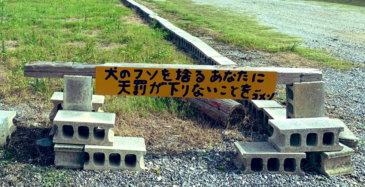 猫 宮古島walker どういう意味だ 小さく謝ってるし 地元の人しか通らない細い道にあった手作り看板 沖縄 宮古島 犬 広場 看板