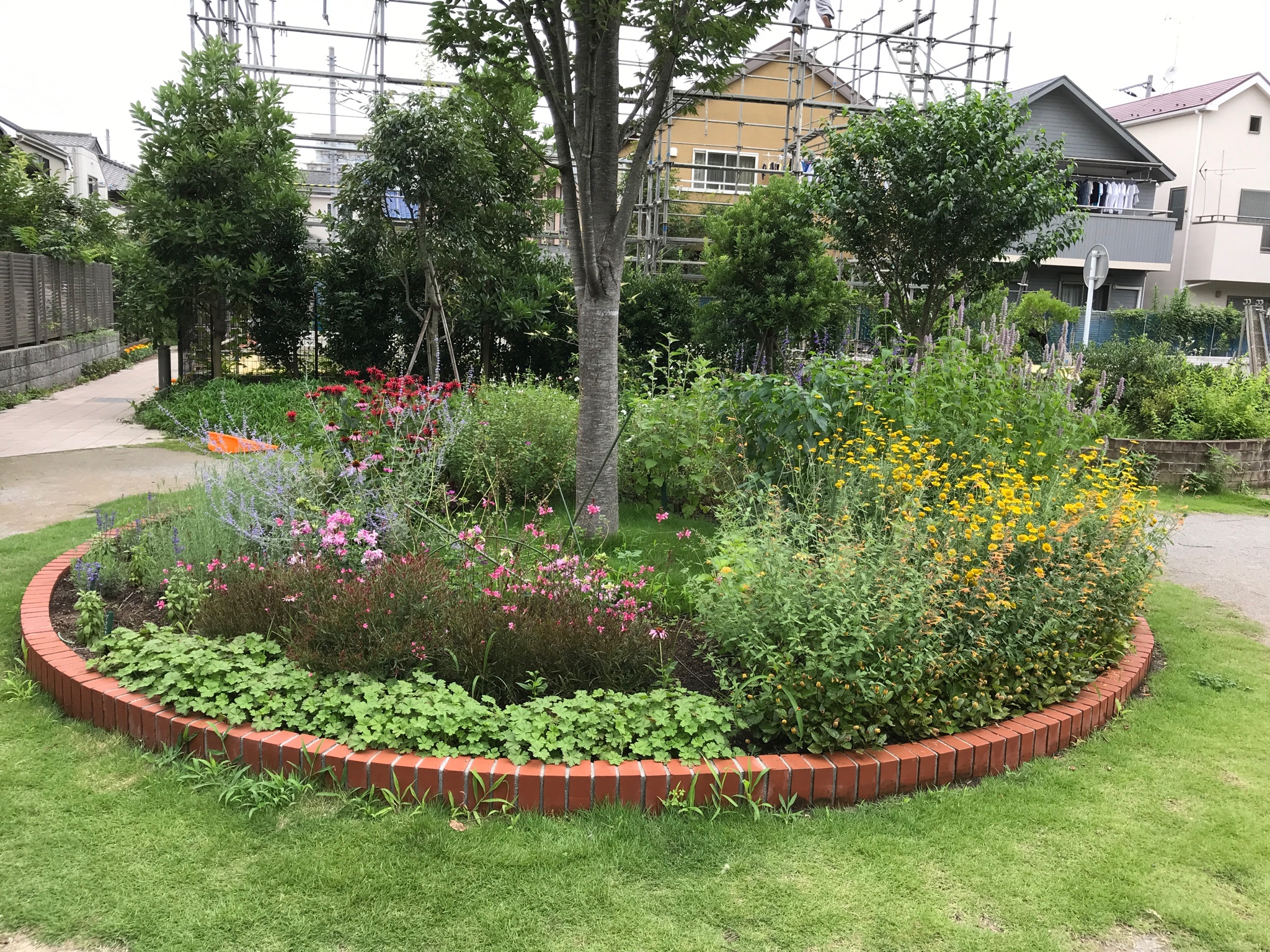 西東京花の会 ハーブガーデン ハーブ班の作業を再開しました ハーブ花壇の撮影は いつもと違う方向から T Co Ks1ggwgeie Twitter