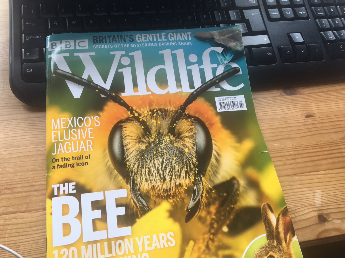 @WildlifeMag arriving just in time for a rainy weekend 🌧☕️📖

#happyfriday #uknature #conservation #wildlife #rainyday