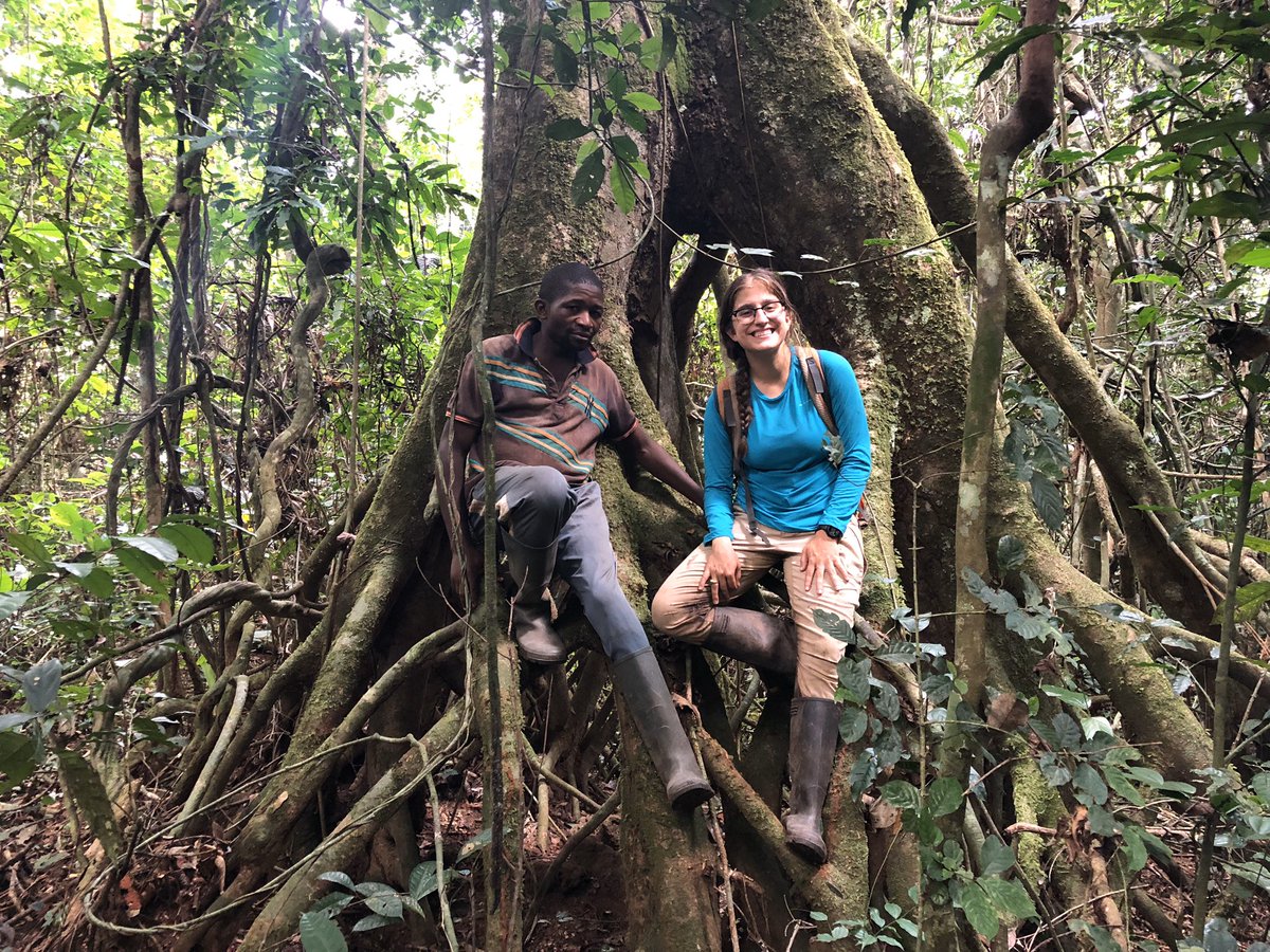 vanessa_pena8's tweet photo. Can’t believe it’s already been a year since my #fieldwork in Cameroon! #primatestudy #research 🐒 https://t.co/02pddwr3dM