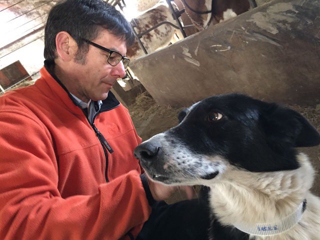 Migration Dept., Max Planck Inst. Animal Behavior tweet media