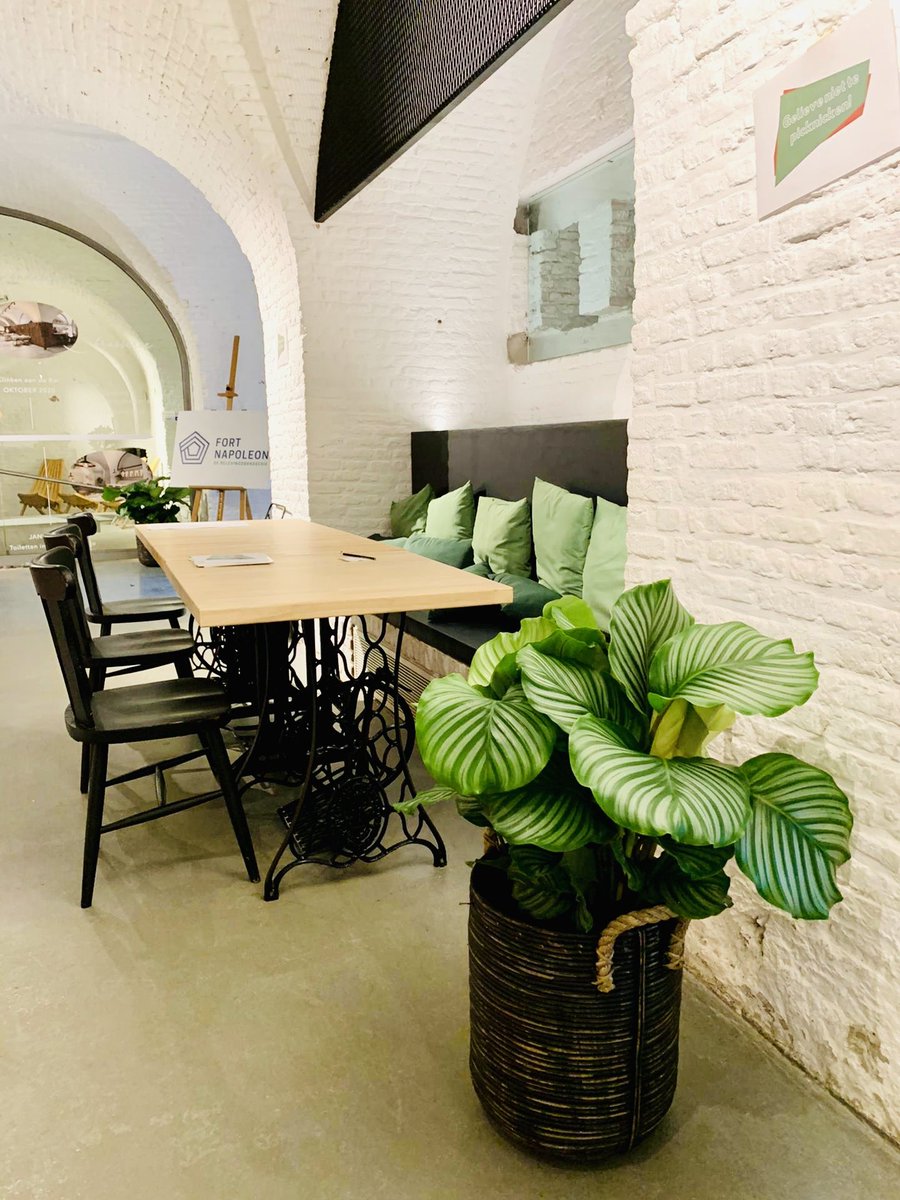 FleurLies's tweet photo. We hebben weer een zaak mogen opfleuren met onze bloemen en planten. Deze keer op de unieke locatie van het Fort Napoleon De Belevingsbrasserie 😍🌿💐. Met al dat groen kan je niets anders doen dan te onspannen en te genieten van de sfeer 🥂. 
.
#fleurdelies #b2b #fortnapoleon https://t.co/t3T48F186G