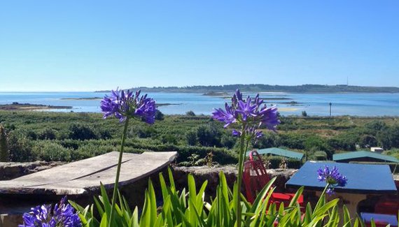 From July 4th
sevenstonesinn.com/from-july-4th.…
#stmartinsscilly #islesofscilly
Hope to see new and familiar faces soon