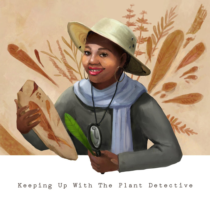 Episode 4: Fossil Formation/PreservationOn this episode of "Keeping Up with the Plant Detective", we present different types of fossil preservation/formation.PLEASE NOTE: A fossil can represent more than one preservation type.:  @ncdraw  #FossilFriday  #scicomm  #blackinstem