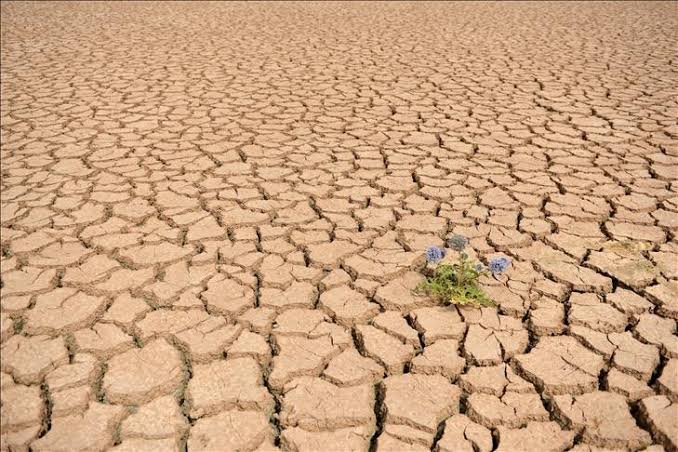 Какие действия человека приводят к опустыниванию. Почвы Бразилии. Засуха Мем. Засуха в пустыне фото. Девочка пустыня засуха игра на телефон.