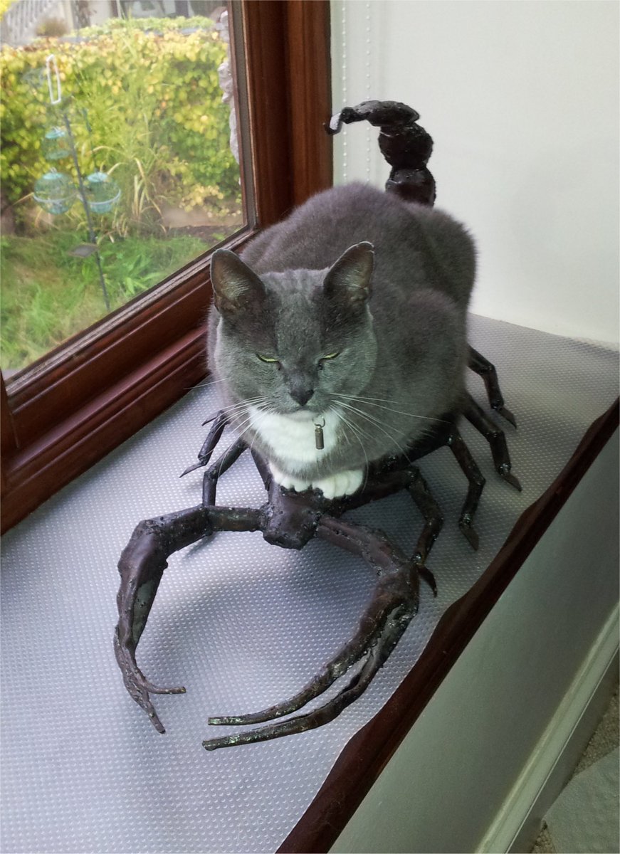 team NotLeafy tweet media