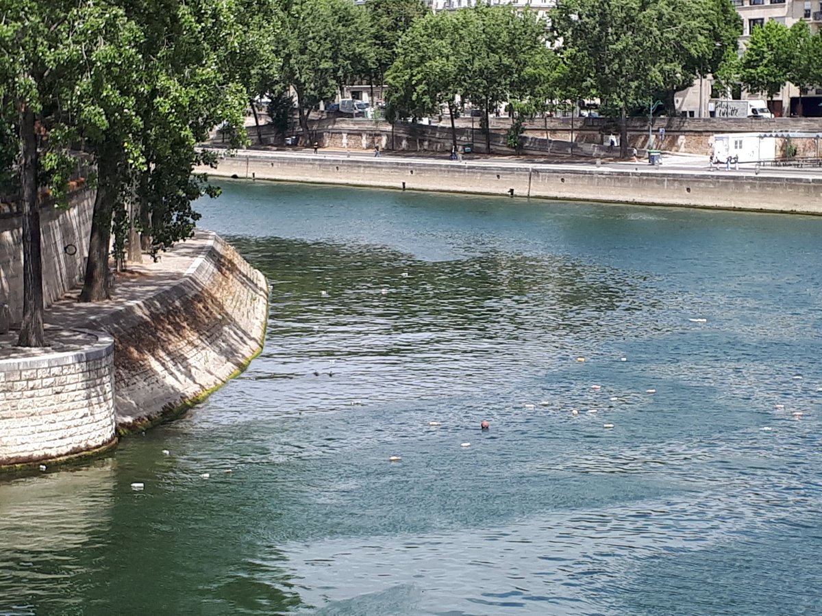 Sébastien Daniel tweet media