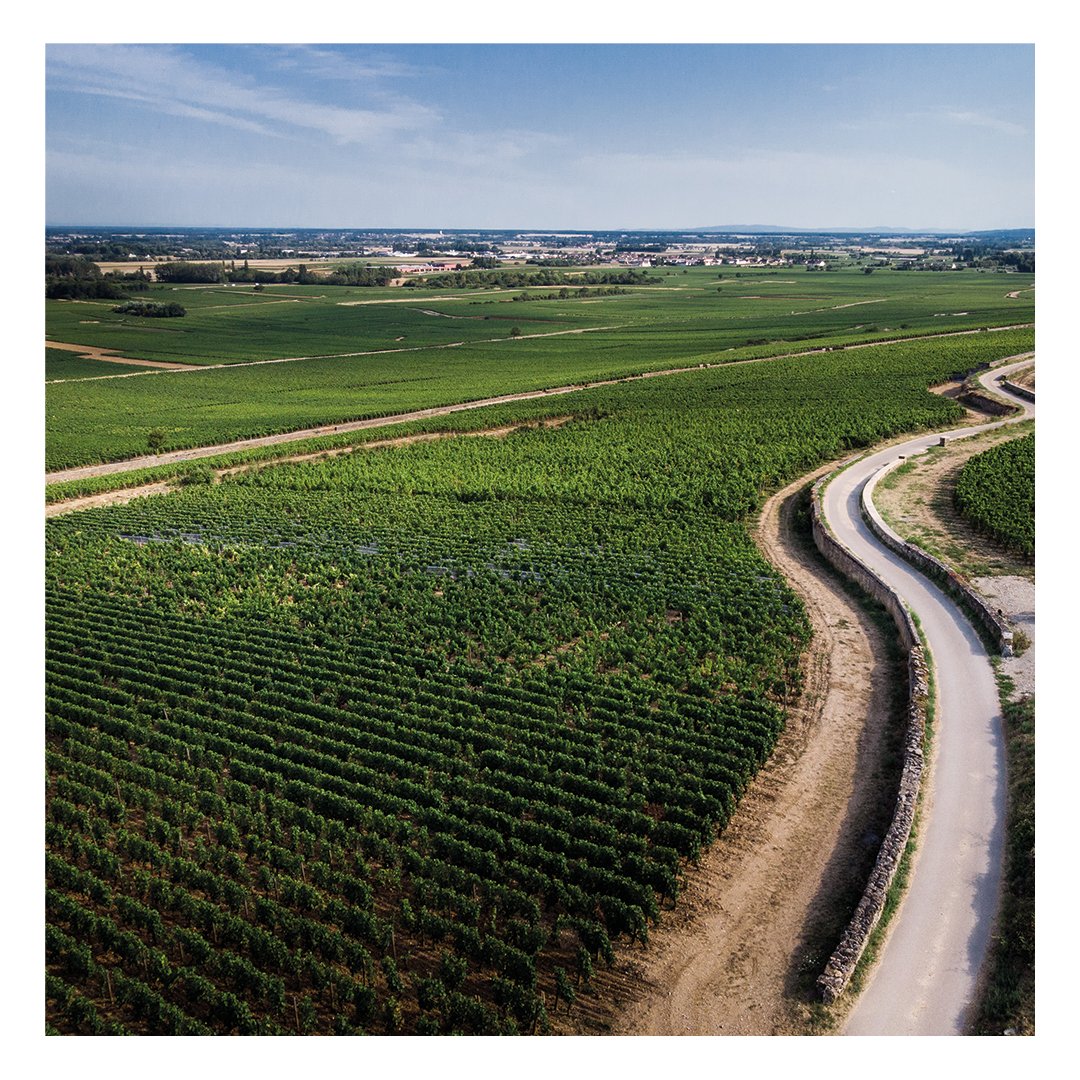 🚨 TASTE &amp; SHARE - Partons en Bourgogne !

🛒 🍷 Commandez la Caisse Panachée 3 bouteilles du Domaine Heitz-Lochardet et partagez une e-dégustation exclusive avec le propriétaire ! 

⏱ Offre valable jusqu'au Jeudi 9 Juillet 00h00