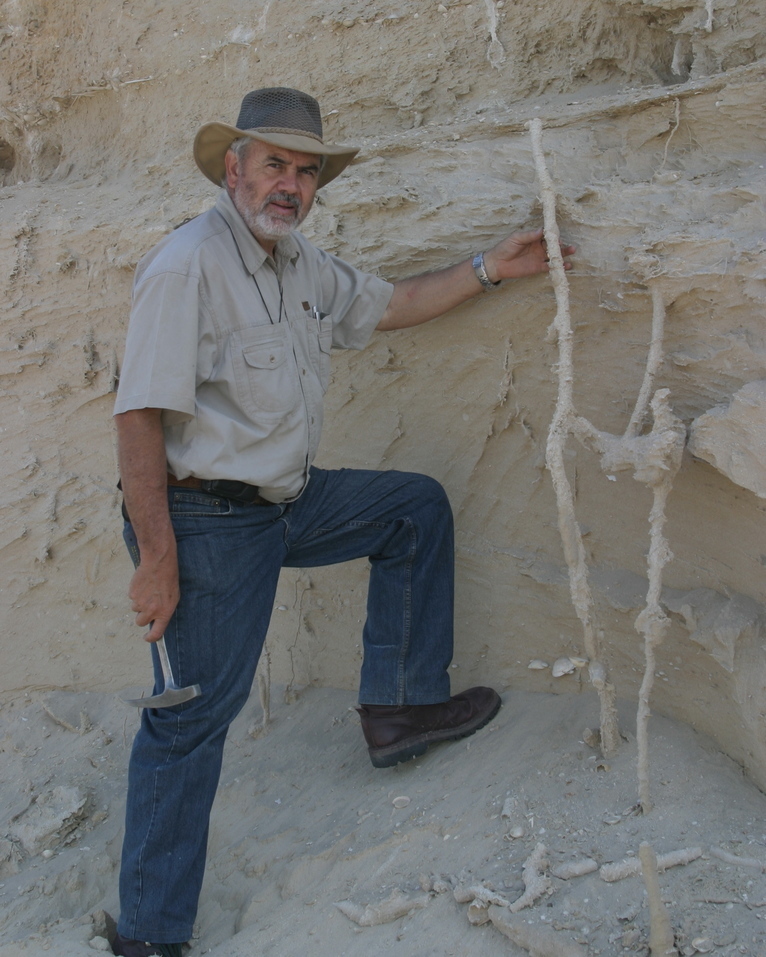 Quiz time:My fellow Plant Detectives, what fossil formation/preservation types are shown in the images below?The END.