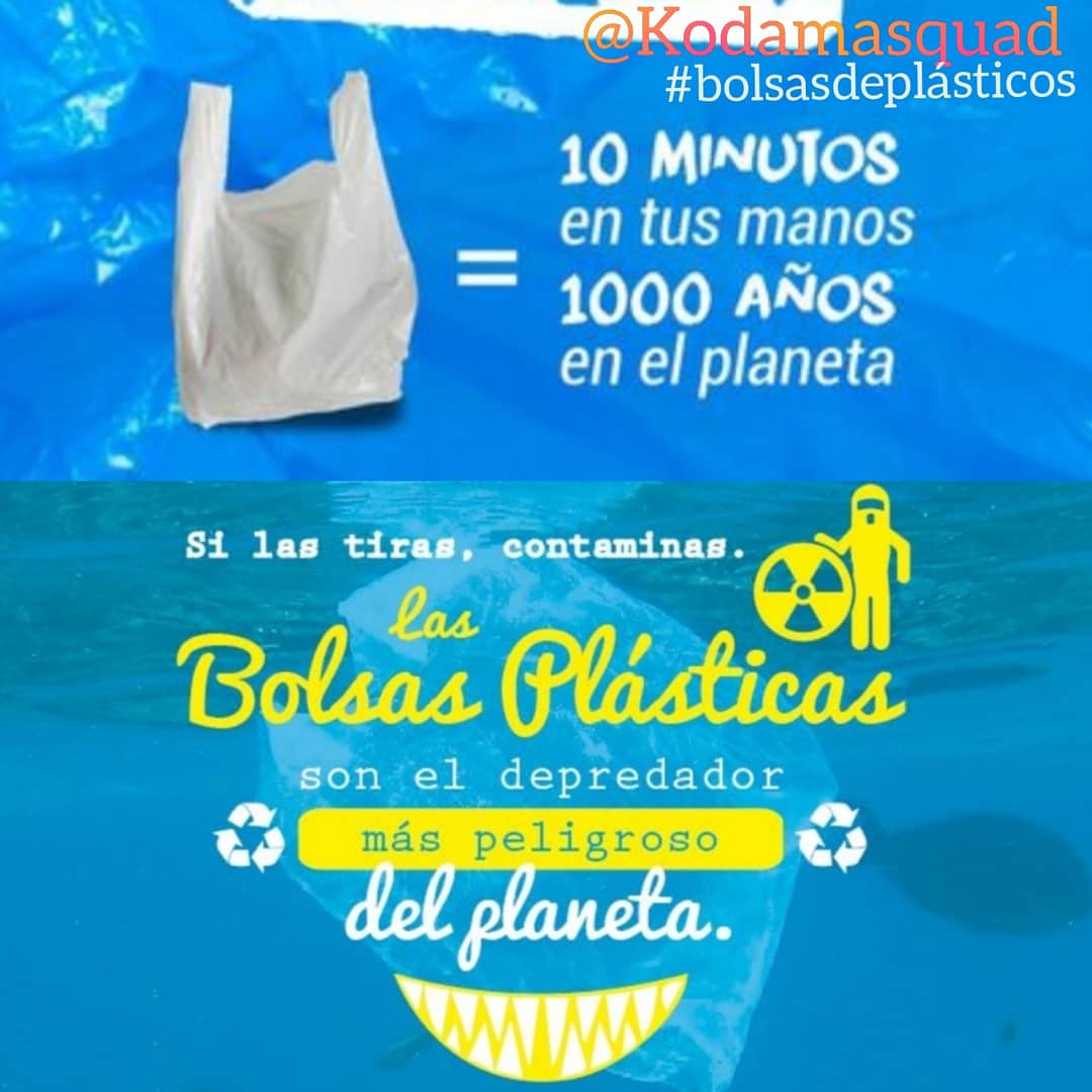 Kodamasquad's tweet photo. Hoy ¡libres de bolsas de plástico 🚫! 
-Fabricar 14 bolsas ↔️ combustible para 1,6 km
-Gastamos 230 bolsas/año ¡POR PERSONA!
-+ 5 BILLONES de plásticos en el océano
-+ 100.000 animales marinos atrapados en ellos
-En 2050 casi todas las especies de aves marinas comerán plástico https://t.co/PLRgldra5S