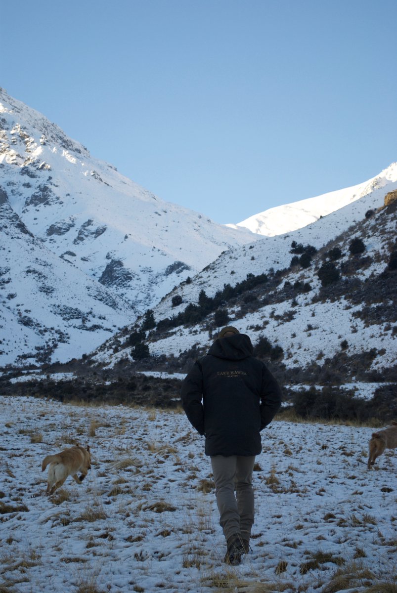 An update from Geoff Ross. 
Owner of Lake Hawea Station. 
With the winter, the snow did arrive this week. The Sheep have a full fleece on and have the best warmth nature could possible provide. #FarmUpdate