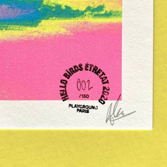 Hello Birds Festival tweet media