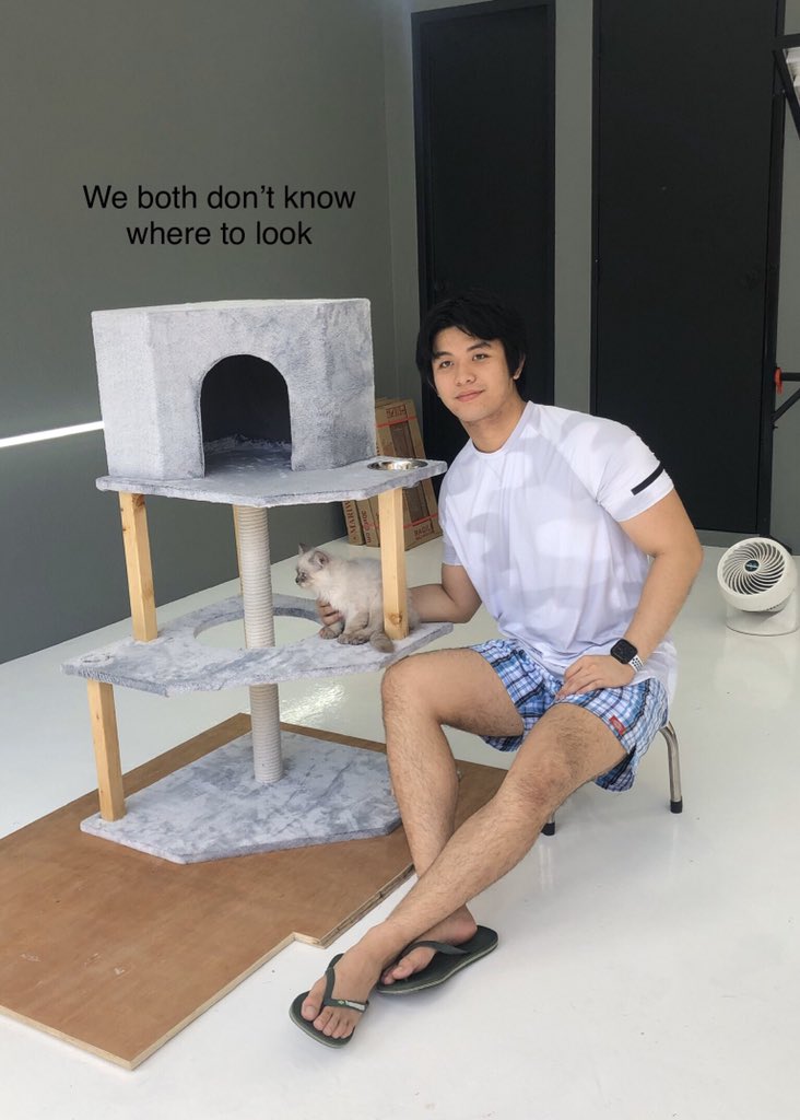 JustinSunicooo's tweet photo. Cat condos are expensive and I couldn’t find one that I really liked, so I designed and built one instead 😻 https://t.co/ihPH1gabh1