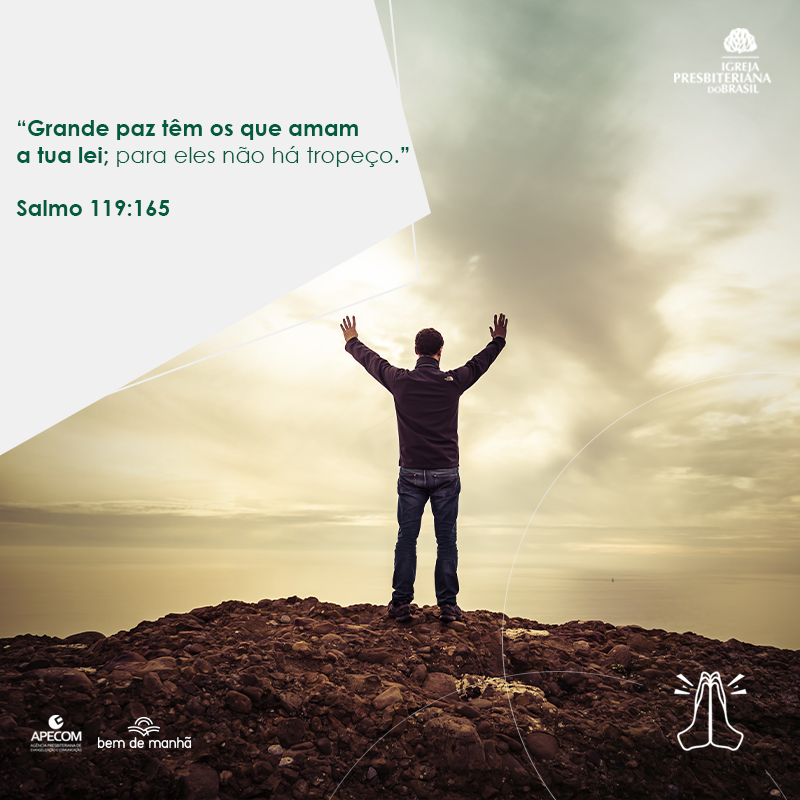 ipboficial tweet picture