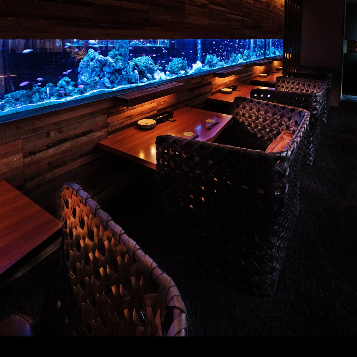 アクアリウムダイニング新宿ライム A Twitter 7 3 00の空席情報 カップルシートは 50 からどんどん空いてきますよ ご来店お待ちしております ご予約はこちらから 03 5919 2248 新宿ディナー デート カップルシート アクアリウム 誕生日 記念 日