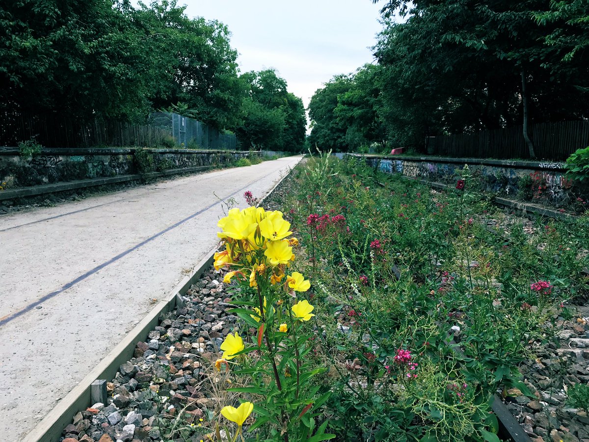 CHANTIERecoleIF's tweet photo. Matinée sur le terrain : comité technique sur la #petiteceinture du 12ème avec notre adhérent #Interfaceformation et @Paris ! Un partenariat depuis 15ans en faveur de la #biodiversité et de l’#inclusion @PKOMITES @Anne_Hidalgo https://t.co/62u58IWmQU