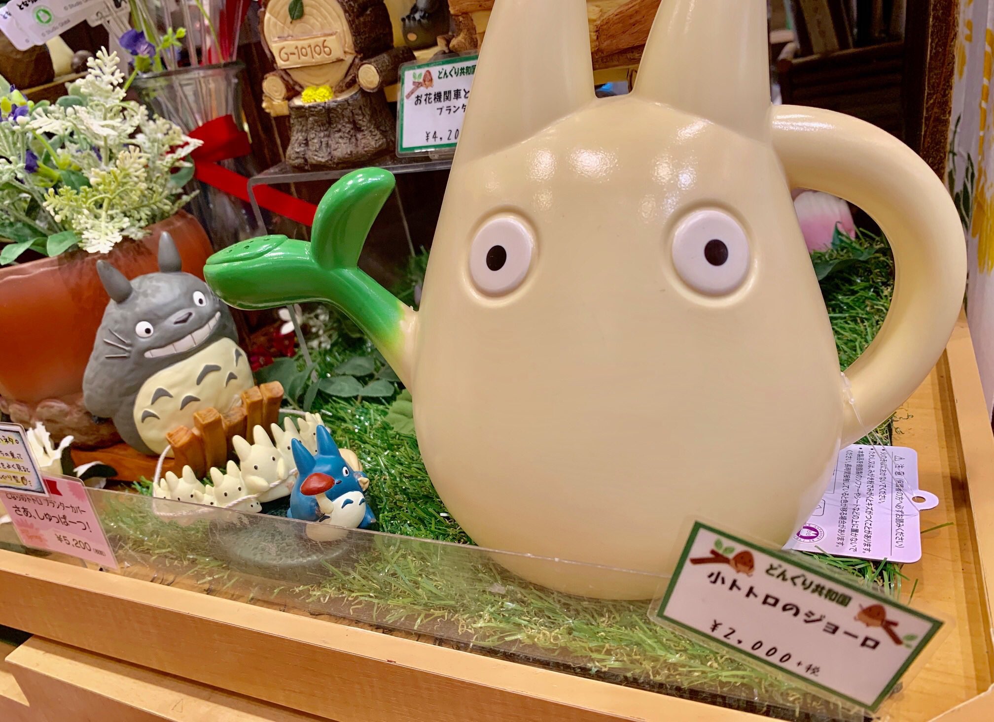 キデイランド大阪梅田店 公式 どんぐり共和国 こんにちは 暑い夏にぴったりな とってもかわいいジョーロが入荷しております 小トトロのジョーロ 2 000 税 小トトロが葉っぱを持ってお水をあげているようなジョーロです インテリアにも