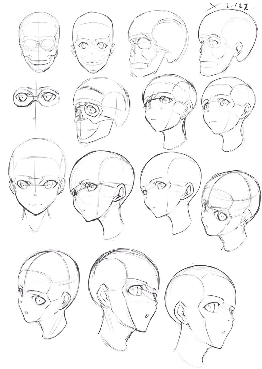 やっぱり頭蓋骨の勉強してから それをイメージしてアタリ描いて顔描くとだいぶ模写と ヤコウの漫画 やっぱり頭蓋骨の勉強してから それをイメージしてアタリ描いて顔描くとだいぶ模写と ヤコウの漫画