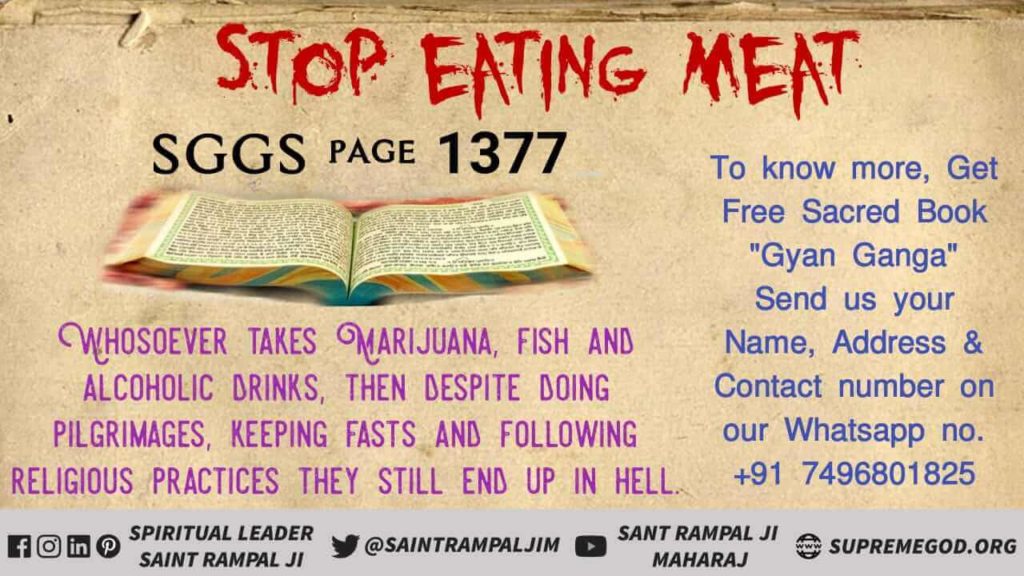 Poonamd68185883's tweet photo. #MeatEaters_Are_Sinners
To eat meat is dangerous to the health. It created the deep diseases. Donot touch the meat. https://t.co/5HfWZlARZD