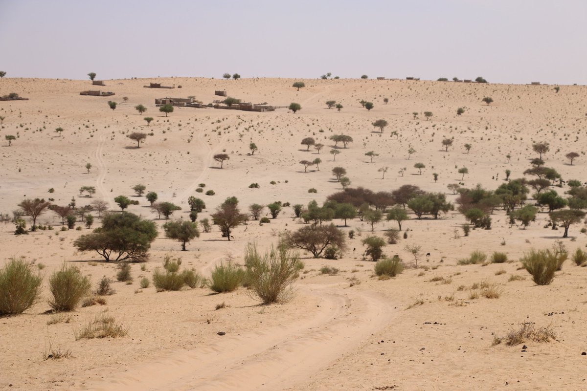 Andrew88820142's tweet photo. In solidarity with @KaoHua3
The Sahel is experiencing the worst climate shift ever, on top of Conflict, Displacement, Food shortages, and Desertification.
Neglected
@UNESCO @UNFCCC @UnitedForClima1 @GretaThunberg
@florentmimart
Please read this report.
https://t.co/Cnjvwcpuem https://t.co/k3Aoj3J99m