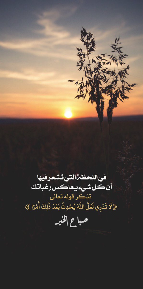 Haaak__9's tweet photo. لكل من يمر من هنا
يا حبّذا لو تَبتَسِم ،😁
إنَّ السعادةَ في فؤادي بعد سَعدِكَ ترتَسِم 😊   

#صباح_المحبة
#صباح_الخير https://t.co/bEctTA45f1