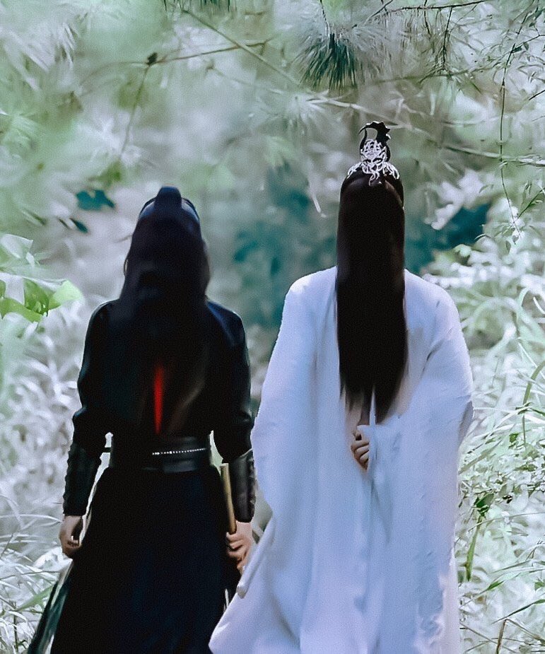reader tweet media