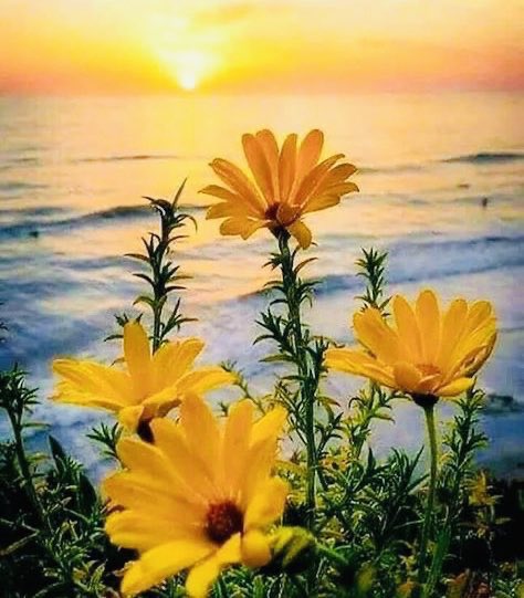 God bless. You. May those that are evil  have evil directed upon  themselves. .. my surgery is done well. Let the work of God help you in all situations .
