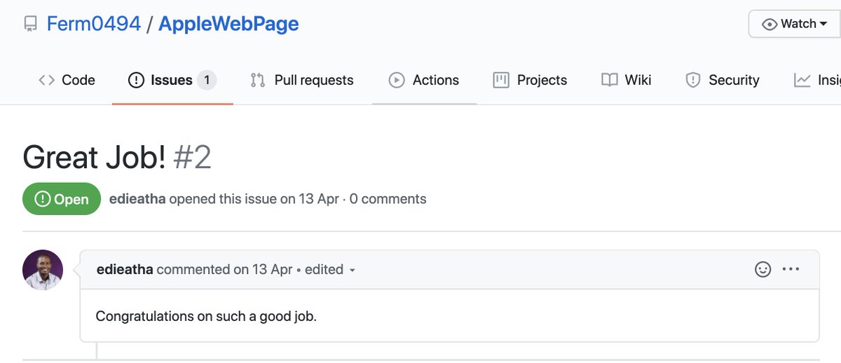 Their GitHub contribution graph might look empty, but that's because their contributions are not always in the form of code: