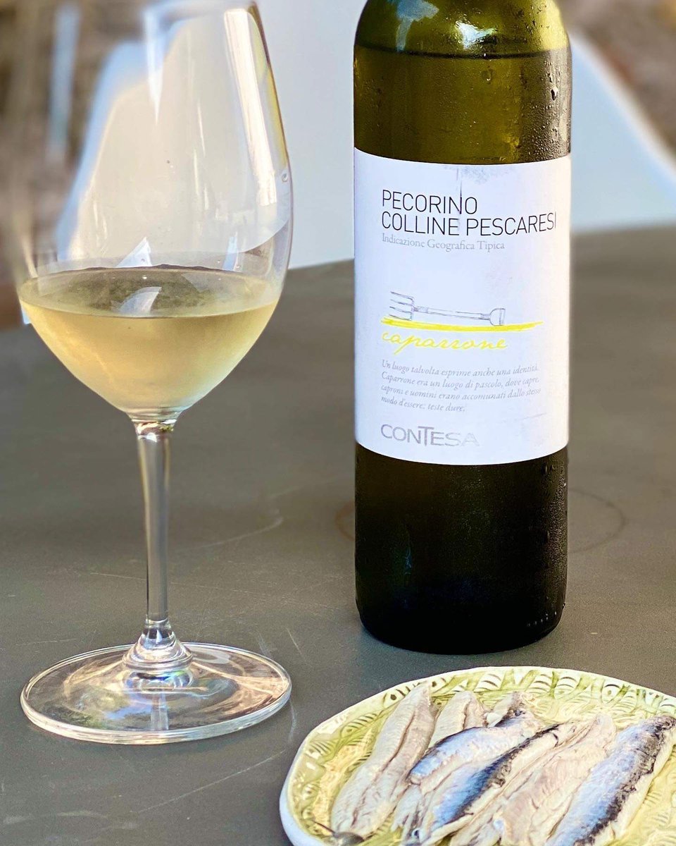A Gold Medal Winner at this years Sommelier Wine Awards. This wonderful Pecorino is crisp, zesty with layers of tropical fruit. If you have never tried Pecorino please give this a go. FAB #middlestreetbrixham #independentwineshop #torbay