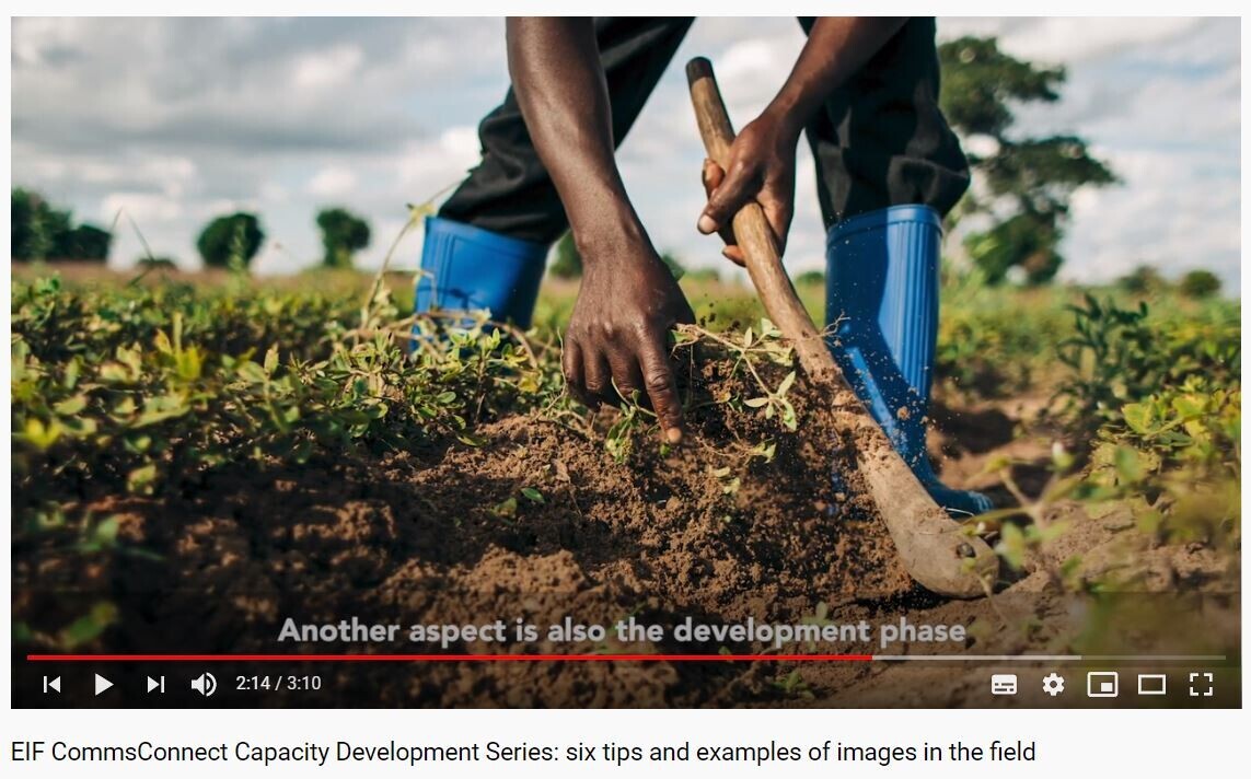 #Images can tell all kinds of stories, including those on #trade.

Watch this video to learn, step by step, from our professional photographer, <a href="/olliviergirard/">ollivier</a>, how to take better pictures in the field📸
youtube.com/watch?v=VySzoE…

#CommsConnect #training #learning #tool #LDCs