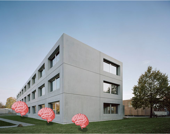 SimTech Building, three brains (not to scale) are arranged in the ponzo illusion