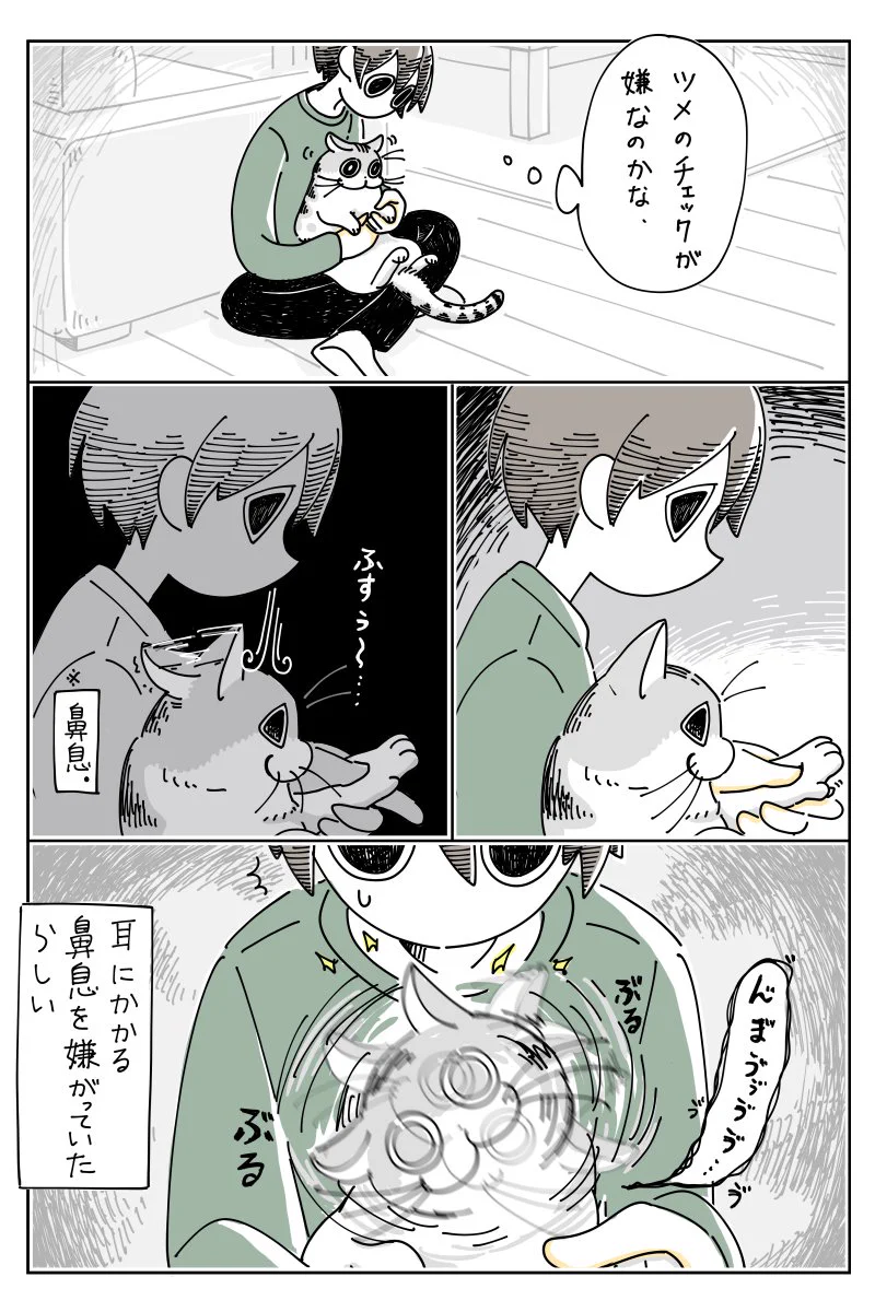 これなら往復ビンタも許せちゃう！猫からの可愛い耳ビンタww