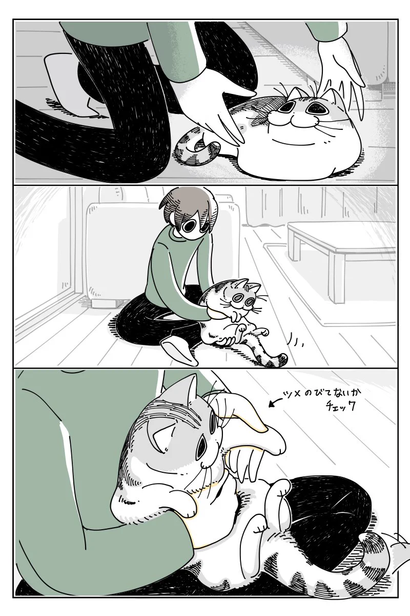 これなら往復ビンタも許せちゃう！猫からの可愛い耳ビンタww