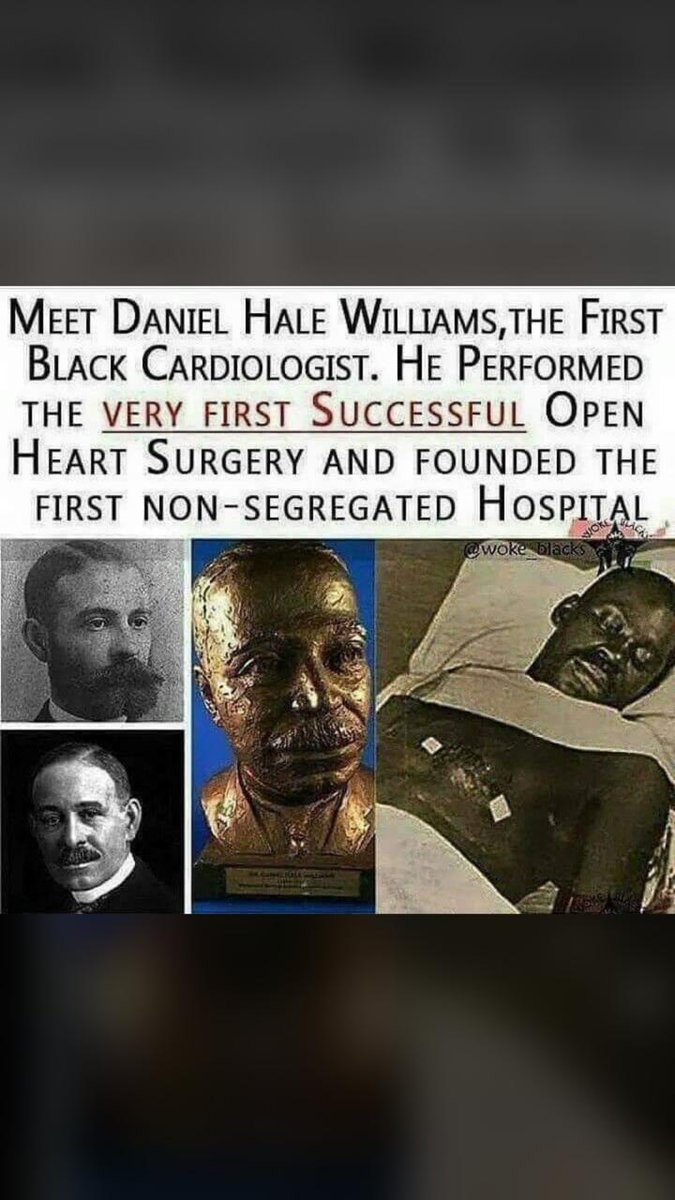 Leaf of Life (@leafoflifemusic) on Twitter photo 