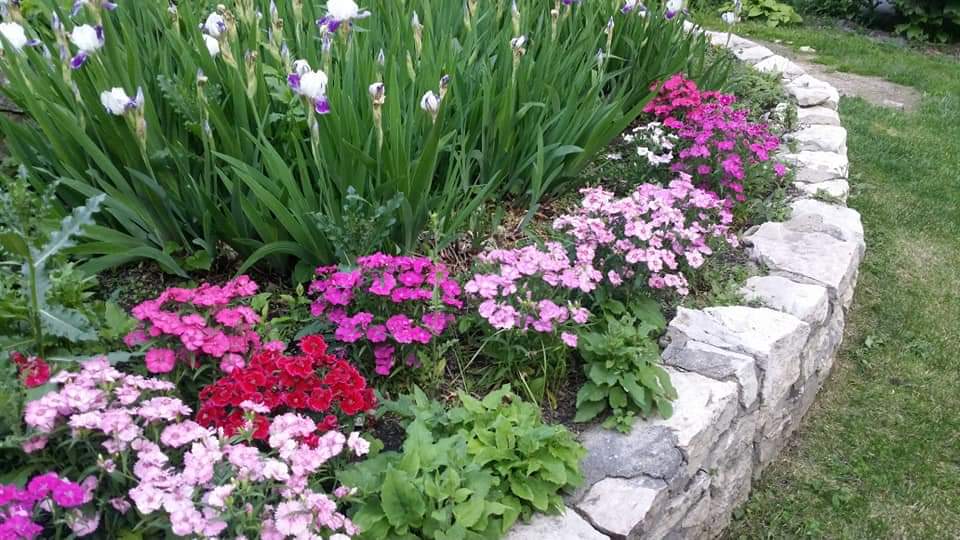 sasktelpioneers's tweet photo. #BridgeCity #SaskTelPioneers showing off the #RUH garden project! Flowers planted in a courtyard for everyone to enjoy.
๐บ๐ธ๐ผ๐พ
#makingadifferenceinthecommunity https://t.co/366rNyYwS5