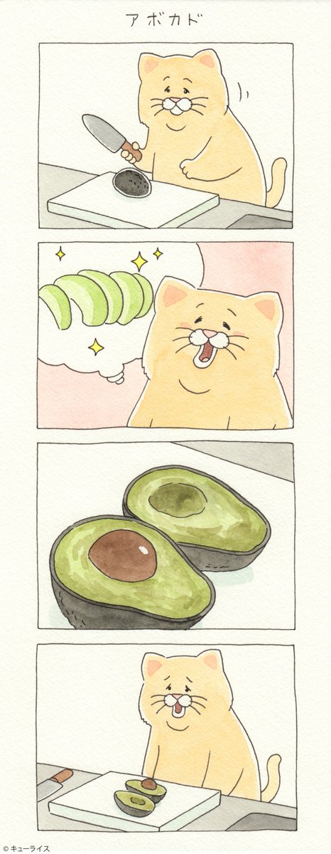 4コマ漫画ネコノヒー「アボカド」/avocado https://t.co/7ubbs9RcQi #ネコノヒー 