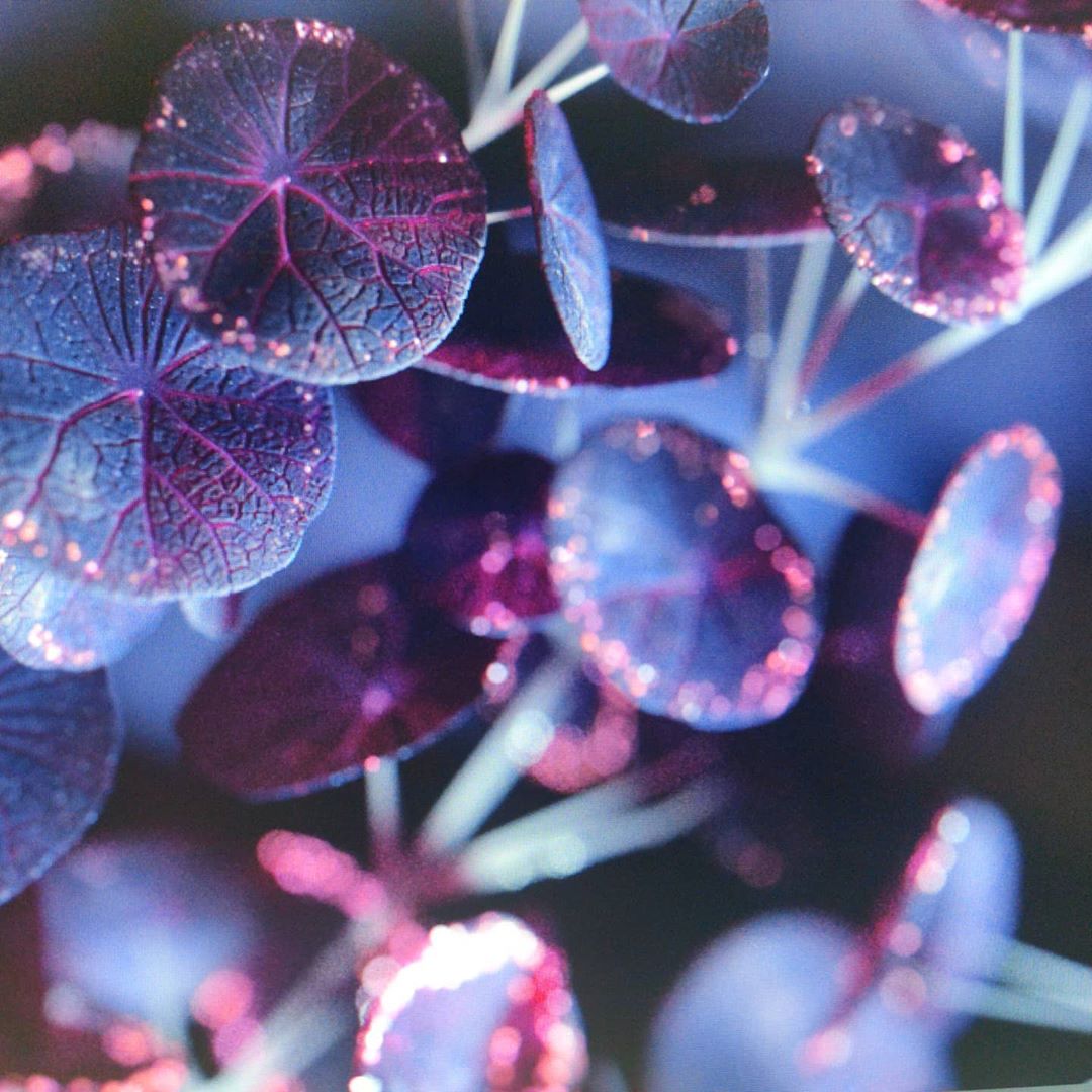 onformative's tweet image. Some work in progress #VisualResearch #wip #c4d #Redshift3D