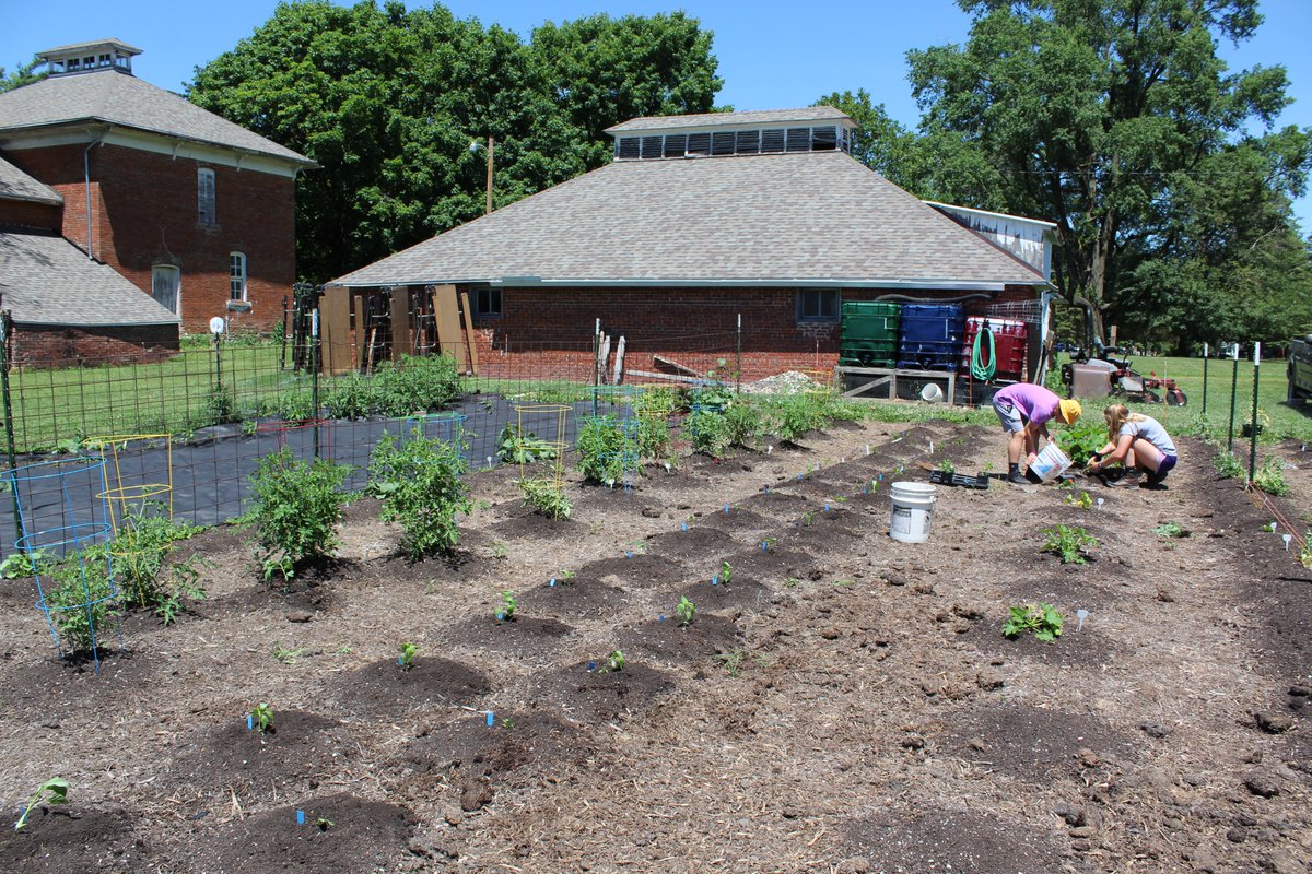 NevadaFFA's tweet photo. Evergreen garden doing quite well, keep up the good work Amelea & Keegan Jones ! broccoli, tomatoes, beans, peas, peppers, zucchini, squash, and watermelon #SupervisedAgExperience @iowaffa #eathealthy #nevadacubpride https://t.co/CGG1qjU0rw