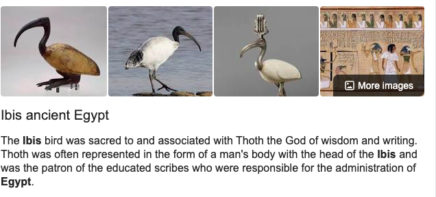 7) Ibis: Bird that protects against snakes, locusts and the caterpillars8) Hawk: Against scorpions, horned serpants, small animals of noxious bite which cause the destruction of men