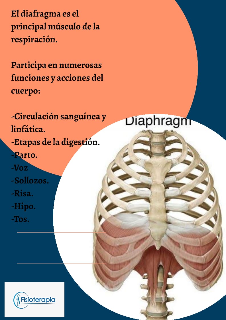 FisioterI's tweet photo. #fisioterapia 

Sigue nuestras redes sociales🖥️📲

Instagram @fisioterint⭐
Twitter @FisioterI⭐

🙌🧠💜👨‍⚕️👩‍⚕️

#somosfisios #fisiolove #fisioterint #rehabilitacion https://t.co/sIgg91KjRW